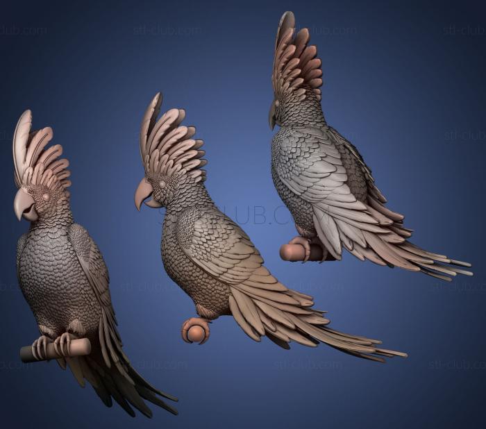 3D модель Попугай какаду (STL)